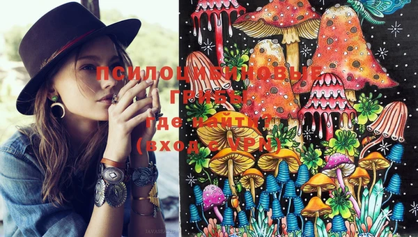 скорость Коряжма